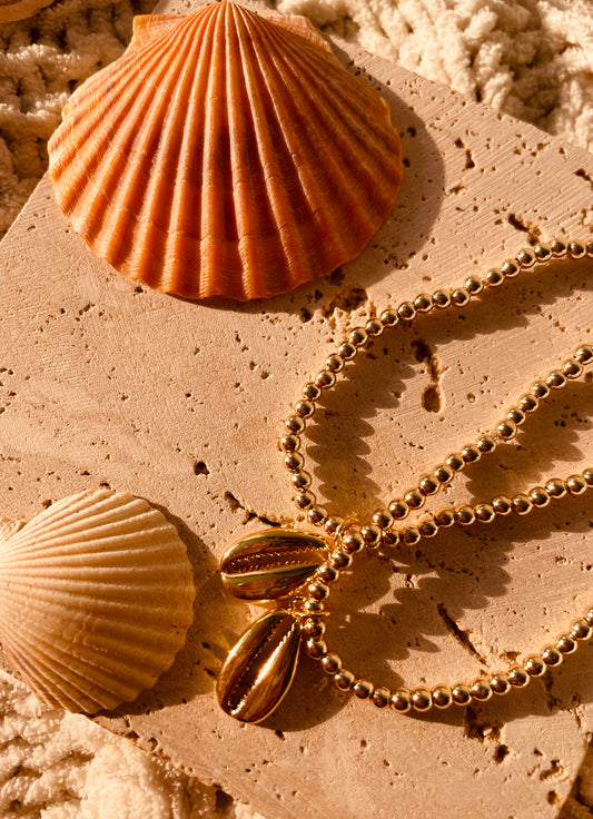 Pooka shell charm bracelet